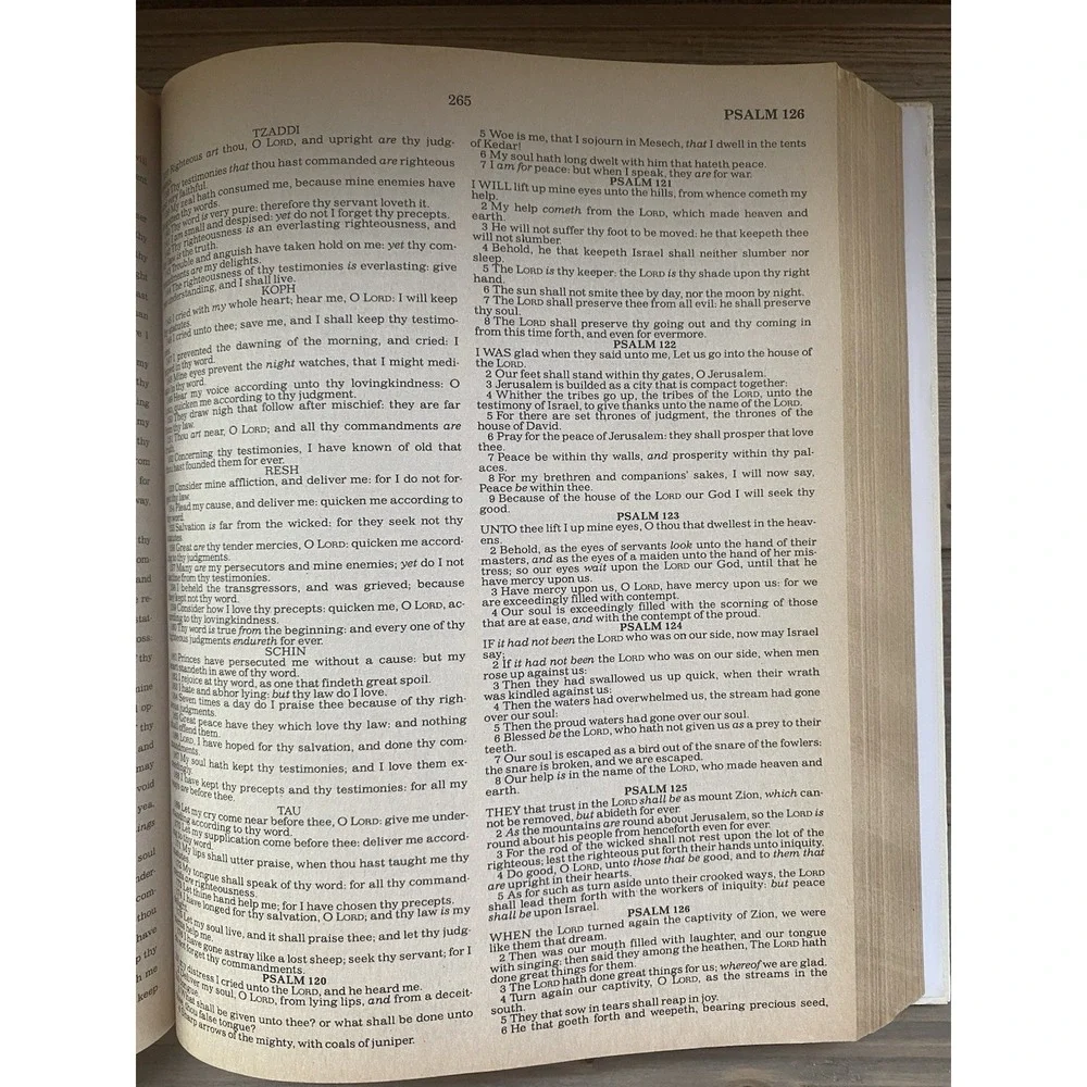 VTG Holy Bible Red Letter Edition, King James Version, Illustrated, 1987